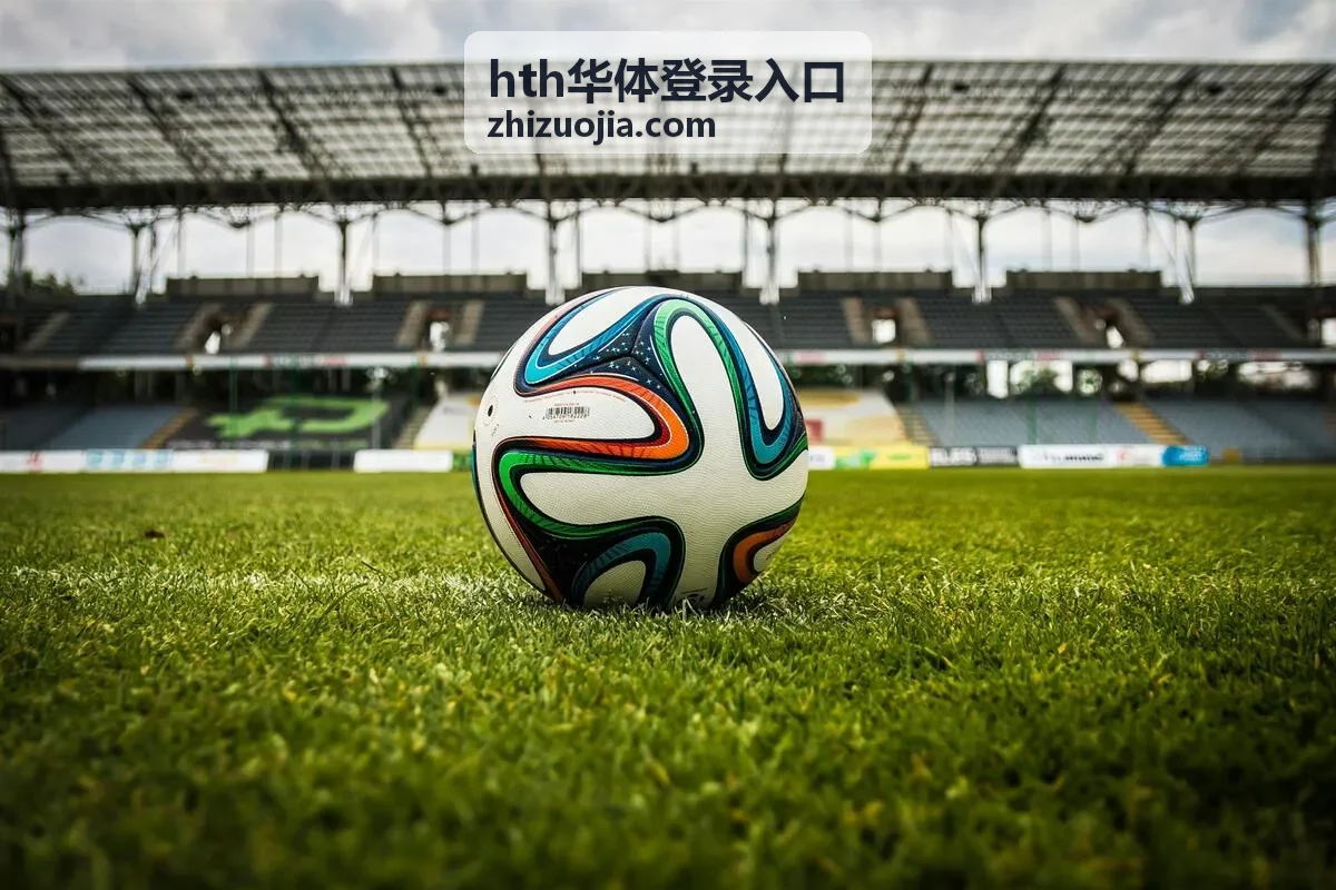 hth华体登录入口账号开通资料提交示意