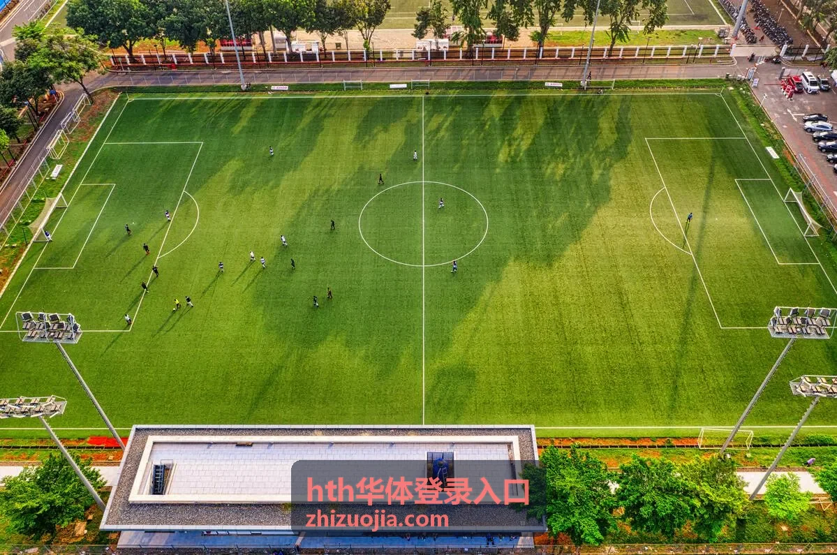 hth华体登录入口 换设备仍提示网络异常的排查